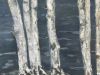 2023-05-Bomen